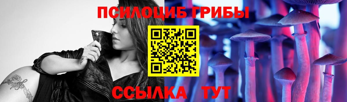 Псилоцибиновые грибы Cubensis  Вход с VPN  Старая Купавна  Галлюциногенные грибы MAGIC MUSHROOMS 